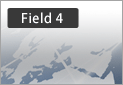 Field4