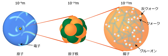 図2：クォークとグルーオンの模式図 原子核は陽子と中性子からできており、陽子はuudという二種類3個のクォークとその力を媒介するグルーオンからなる。中性子は、uddとグルーオンからなる。クォークとグルーオンは現在、物質を構成するもっとも小さい単位と考えられている。uはアップクォーク、dはダウンクォークを表す。
