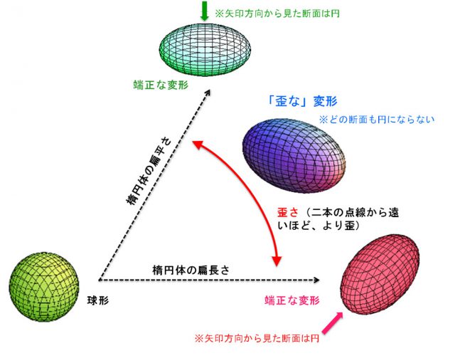 図1：原子核の形