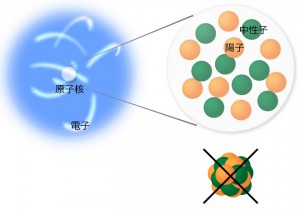 図1　原子核の構造 原子核は陽子と中性子からできている。陽子や中性子はかたまっているのではなく、互いに力を及ぼしあいながらも自由に運動している。