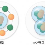 殻模型（左）とαクラスター模型（右）