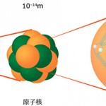 クォークとグルーオンの模式図