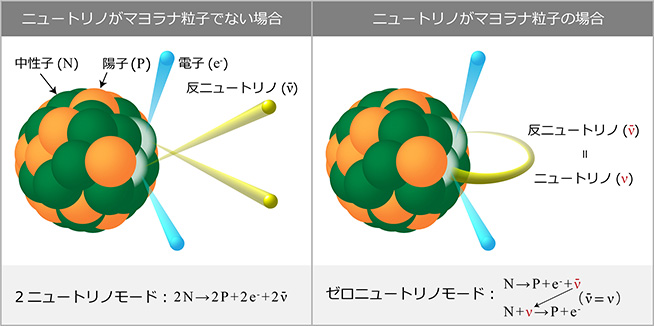 図1：二重ベータ崩壊