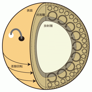 図2：太陽内部の様子