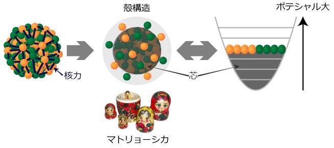 図3：殻模型 原子核は核子どうしが核力により全体を形作っている。核力の性質は複雑だが、原子核は殻の構造の中に核子を詰めていったものとする殻模型を使うと、原子核の多くの性質が理解できる。殻構造を核子全体がつくるポテンシャルのくぼみの中に核子が閉じ込められた状況として、殻構造を計算するのが殻模型計算。