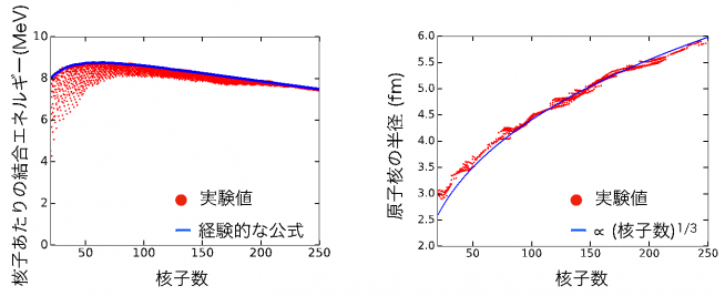 図1：原子核の飽和性