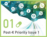 Priority Issue1