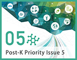 Priority Issue5