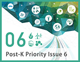 Priority Issue6