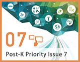 Priority Issue7